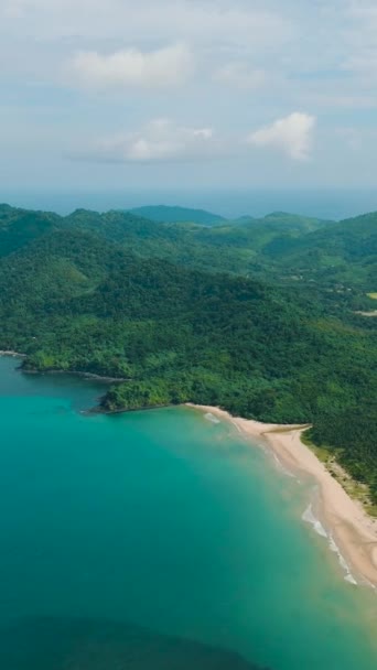 ビーチとヤシの木が付いている熱帯の島 ダゲイ ビーチ エルニド パラワン フィリピン 垂直ビュー — ストック動画