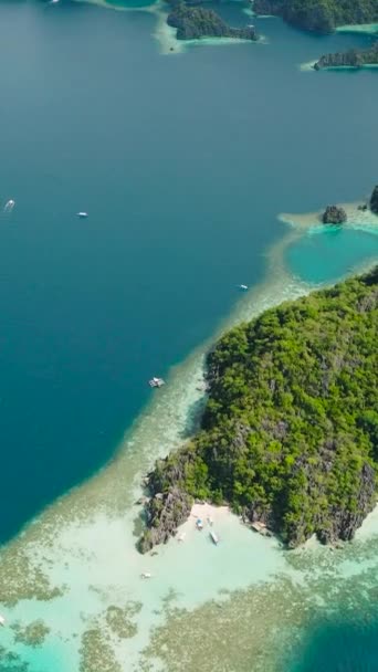 Banul Beach Con Grupo Barcos Corales Lagunas Coron Palawan Filipinas — Vídeos de Stock