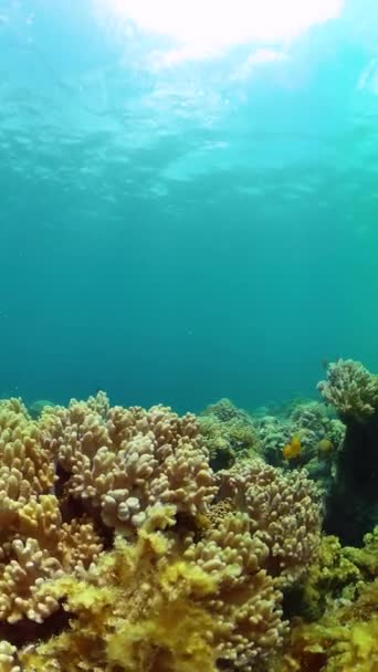 Onderwater Leven Oceaan Met Koraalrif Tropische Vissen Verticaal Overzicht — Stockvideo