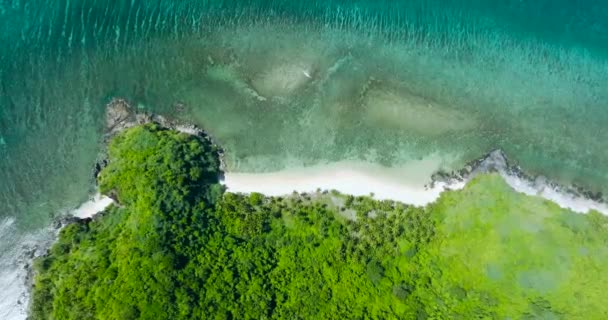 Beyaz Kumlu Sahil Şeffaf Turkuaz Deniz Suyu Mercanlar Nido Palawan — Stok video