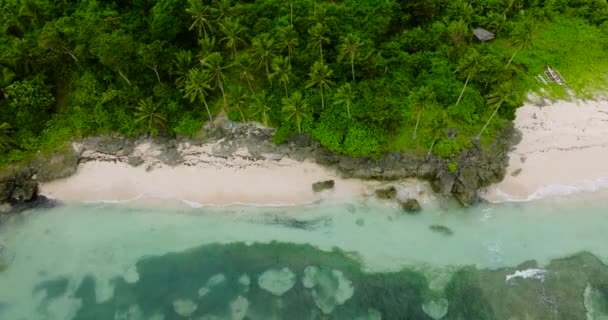Küste Mit Wellen Die Über Den Weißen Sand Krachen Carabao — Stockvideo