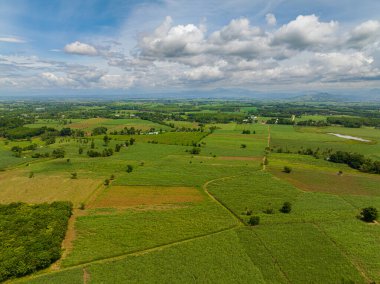 Tropik dağlarda pirinç tarlaları olan tarım arazileri. Mavi gökyüzü ve bulutlar. Mindanao, Filipinler.