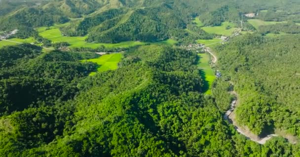 Widok Zielone Wzgórza Pola Uprawne Ryżem Santa Tablas Romblon Filipiny — Wideo stockowe