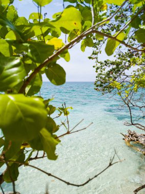 Okyanus sahilli tropik plaj. Mantigue Adası. Camiguin, Filipinler.