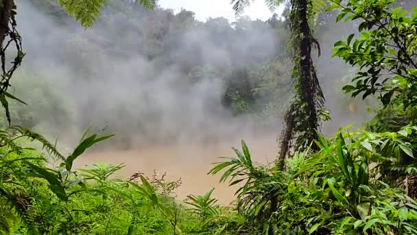Forêt Tropicale Montagne Avec Source Chaude Lac Boueux Lac Boue — Video