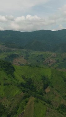 Dağ tepeleri ormanla kaplı dağ manzarasının hava aracı. Mindanao, Filipinler. Dikey görünüm.