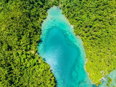 Temiz suyu olan güzel gölcükler. Tropikal Ada 'daki Sea Bay' de. Tinago Adası. Mindanao, Filipinler.