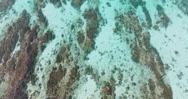 Odbicie Światła Słonecznego Nad Tropikalną Rafą Koralową Turkusowej Strukturze Wody — Wideo stockowe