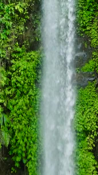 瀑布和绿树的美丽景色 Katibawasan Falls的慢镜头 卡米金岛菲律宾 垂直录像 — 图库视频影像