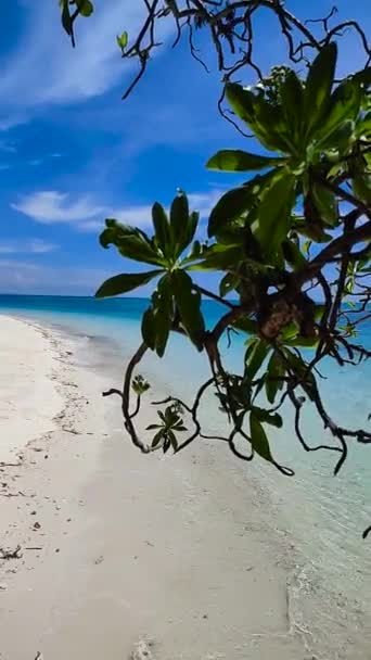 Escena Playa Tropical Olas Oceánicas Sobre Arena Blanca Isla Mantigue — Vídeo de stock