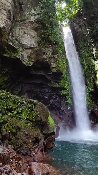 Schneller Kaltwasserstrom Der Tuasan Falls Camiguin Island Philippinen Vertikale Ansicht — Stockvideo