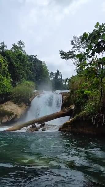 Misty Waterfalls Davao Aliwagwag Falls Mindanao Philippines Vertical View — Stock Video