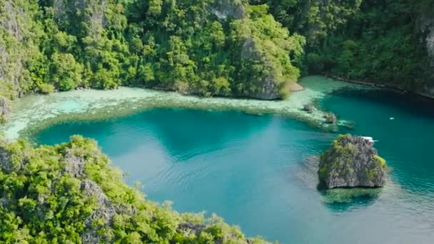 Água Esverdeada Lagoa Pedras Calcárias Lago Kayangan Coron Palawan Filipinas — Vídeo de Stock