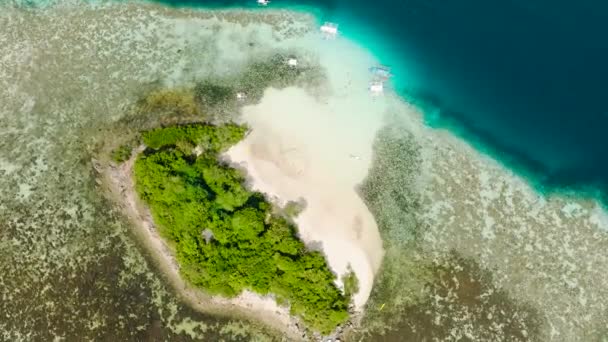 サンゴと白い砂で島の上を飛んでいる Cycビーチ コロン パラワン フィリピン — ストック動画