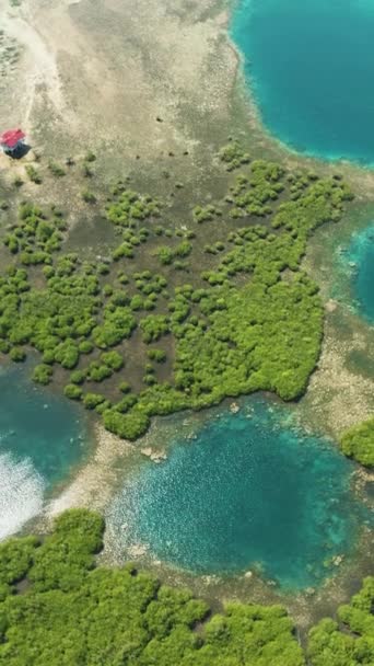Drone Widok Turkusowych Lagun Lasów Deszczowych Głęboko Błękitne Morze Rafy — Wideo stockowe