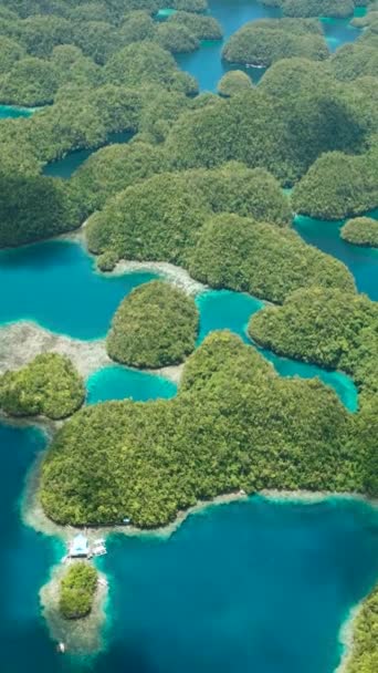 Krásný Výhled Zelený Deštný Prales Tyrkysovou Mořskou Vodu Laguně Surigao — Stock video