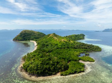 Yeşil orman ve ormanlı Dimanglet Adası. Kumsal ve turkuaz deniz suyu olan mercanlar. Coron, Palawan. Filipinler.