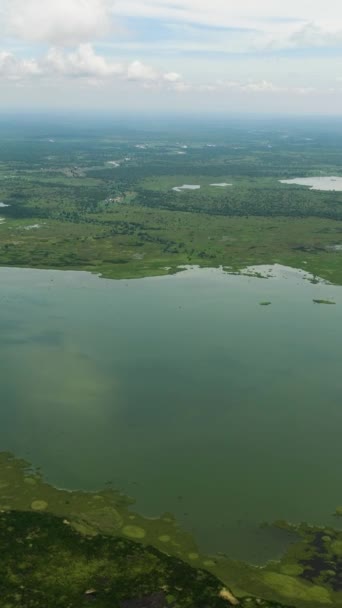 Çimenli Bitki Örtüsü Gölleriyle Sulak Arazinin Insansız Hava Aracı Görüntüsü — Stok video
