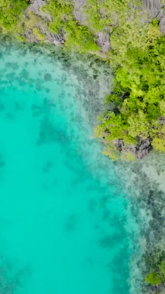 Laguna Turquesa Transparente Con Rocas Calizas Con Plantas Verdes Coron — Vídeos de Stock
