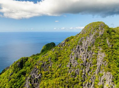 Kireçtaşı dağı ve bitkileri olan Cadlao Adası. El Nido, Palawan. Filipinler.