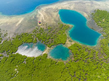 Turkuaz göl ve yağmur ormanlarının insansız hava aracı görüntüsü. Derin mavi deniz ve mercan resifleri. Mindanao, Filipinler.