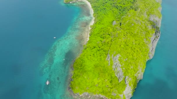 Isla Con Playa Mar Azul Árboles Verdes Tropicales Plantas Sobre — Vídeos de Stock