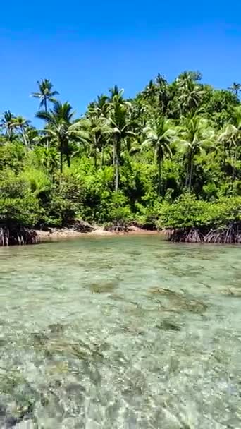 Trópusi Sziget Kókuszfákkal Mangrove Okkal Tengervízen Tagana Surigao Del Norte — Stock videók