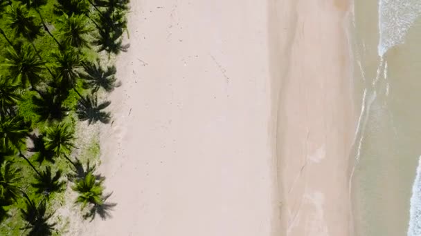 Kumlu Kumsala Düşen Güzel Dalgalar Nacpan Sahili Nido Palawan Filipinler — Stok video