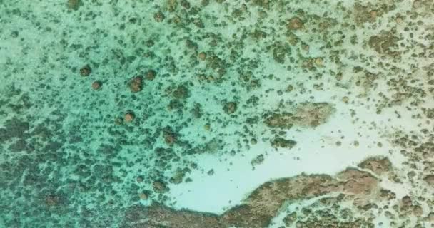 Havsbotten Med Korallrev Med Transparent Turkost Havsvatten Santa Tablas Och — Stockvideo