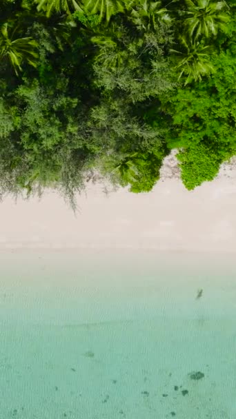 Praia Areia Branca Com Ondas Oceânicas Água Limpa Romblon Filipinas — Vídeo de Stock