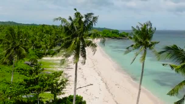 带海滩的热带景观和带珊瑚的碧绿海水 卡拉巴岛 圣何塞 隆布隆 菲律宾 — 图库视频影像