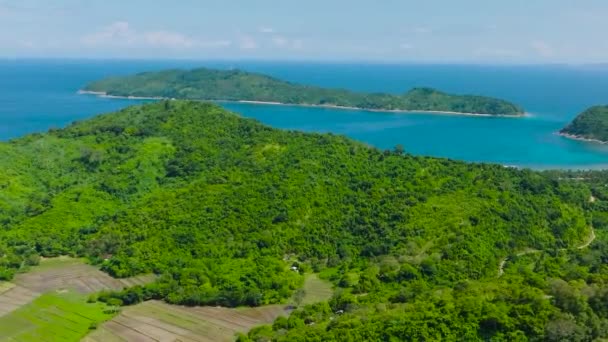 Тропический Остров Зелеными Растениями Пляжем Остров Кагбули Эль Нидо Палаван — стоковое видео
