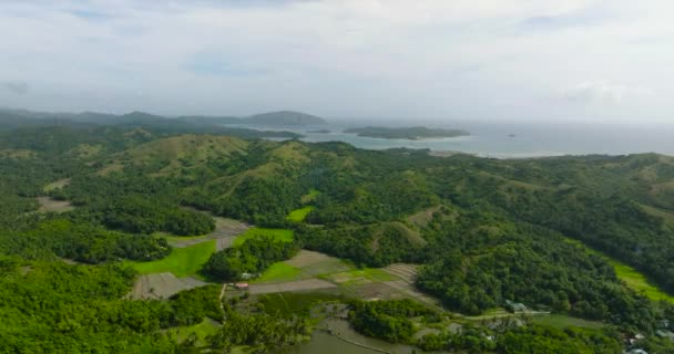 Gröna Kullar Och Risfält Flygutsikt Santa Tablas Och Romblon Filippinerna — Stockvideo