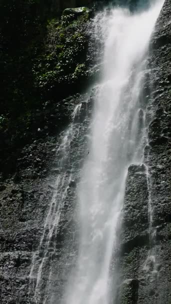 Wodospady Jednowarstwową Kaskadą Wodną Pustym Kulistym Basenem Alalum Falls Bukidnon — Wideo stockowe