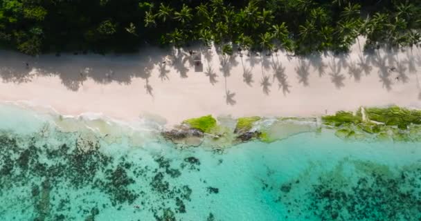 プカシェルビーチの海の波でココナッツの木と白い砂の上を飛ぶ ボラカイ フィリピン — ストック動画