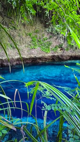 Água Azul Rio Encantado Rodeada Por Plantas Verdes Hinatuan Surigao — Vídeo de Stock