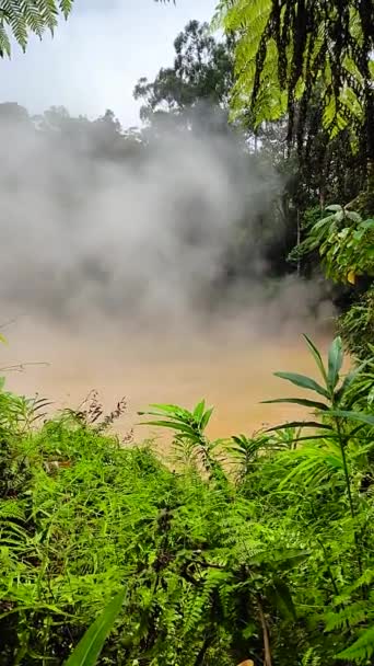 Bosque Tropical Montaña Con Aguas Termales Lago Fangoso Lago Barro — Vídeos de Stock