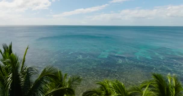 Santa Tablas Adası Ndaki Hindistan Cevizi Ağaçlarının Arasından Deniz Manzarası — Stok video