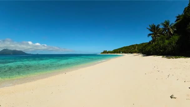 Areia Branca Ondas Marinhas Transparentes Praia Ilha Cobrador Romblon Filipinas — Vídeo de Stock