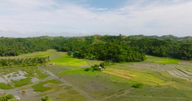 Santa Fe, Tablas, Romblon 'da yağmur ormanları ve tarım arazisi olan dağlar. Filipinler.