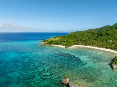 Cobrador Adası 'nda saydam turkuaz deniz suyu ve mercanlar. Romblon, Filipinler.