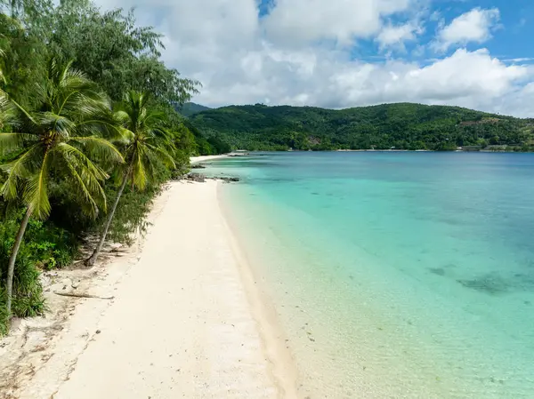 Beyaz kumlu sahilde dalgalı hindistan cevizi ağaçları. Romblon Adası. Romblon, Filipinler.