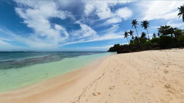 Praia Ilha Carabao Com Ondas Transparentes Corais Romblon Filipinas — Vídeo de Stock