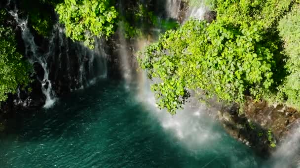 Vista Cámara Lenta Tinago Falls Plantas Verdes Agua Con Reflejo — Vídeos de Stock