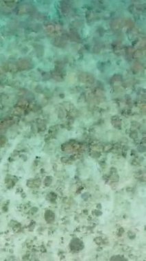 Romblon, Filipinler 'de kumlu ve mercanlı okyanus tabanı manzarası. Dikey görünüm.