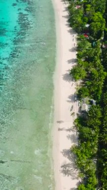 Beyaz kumlu sahil şeridi ve hindistan cevizi ağaçları. Logbon Adası. Romblon, Filipinler. Dikey görünüm.