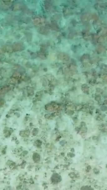 Κάτοψη Του Πυθμένα Του Ωκεανού Άμμο Και Κοράλλια Στο Romblon — Αρχείο Βίντεο