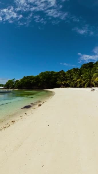 Kokosbomen Het Strand Met Wit Zand Helder Water Cobrador Eiland — Stockvideo