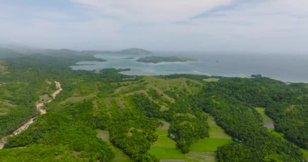 Γραφικό Βουνό Χωράφια Και Καταπράσινο Δάσος Σάντα Τάμπλας Ρόμπλαν Φιλιππίνες — Αρχείο Βίντεο