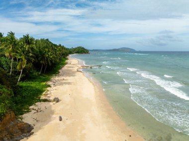 Hindistan cevizi ağaçlarıyla dolu bir sahil ve berrak deniz dalgalarıyla dolu beyaz kum. Santa Fe, Tablas, Romblon. Filipinler.